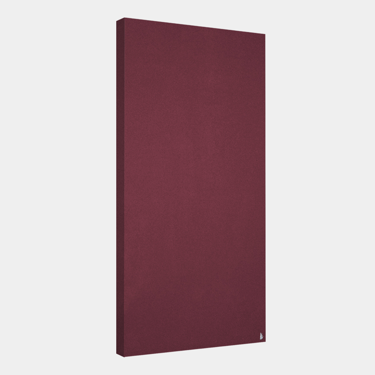 Schallabsorber Standard 100x50x6 cm